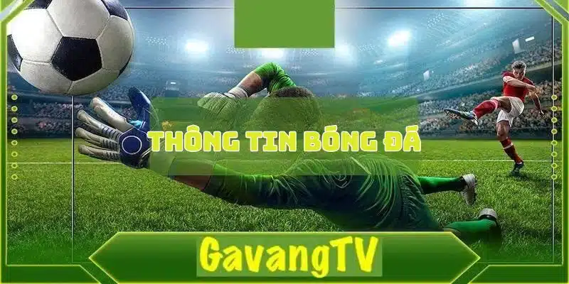 Gavangtv - Trung tâm tin tức bóng đá được ưa chuộng nhất